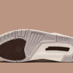 Alternative view of Jordan 3 Palomino