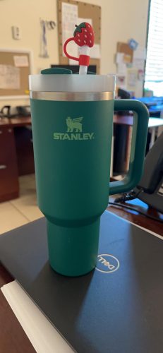 Alpine Stanley 40 Oz. Quencher H2.0 FlowState Stainless Steel Vacuum Insulated Tumbler photo review