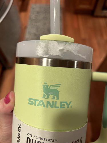 Citron Stanley 40 Oz. Quencher H2.0 FlowState Stainless Steel Vacuum Insulated Tumbler photo review