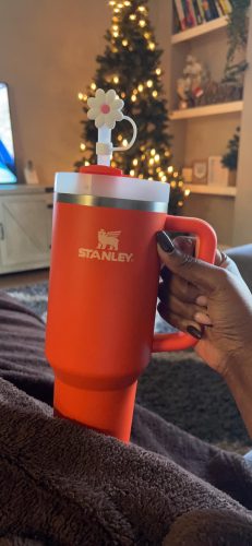 Tigerlily Stanley 40 Oz. Quencher H2.0 FlowState Stainless Steel Vacuum Insulated Tumbler photo review